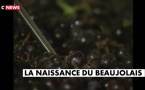 Comment ça marche ?