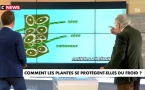 Comment ça marche ?