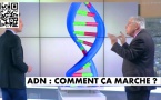 Comment ça marche ?