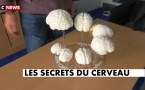 Article n°64