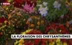 Comment ça marche ?