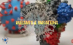 VARIANTS &amp; VARIATIONS